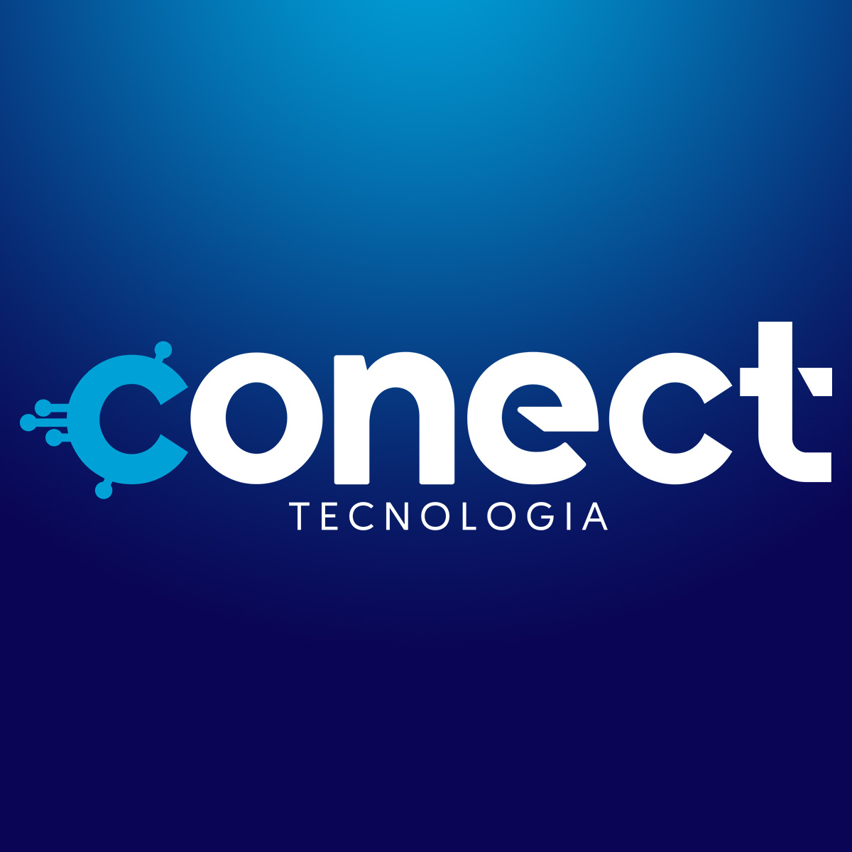 Conect Tecnologia - Gestão e Consultoria em TI